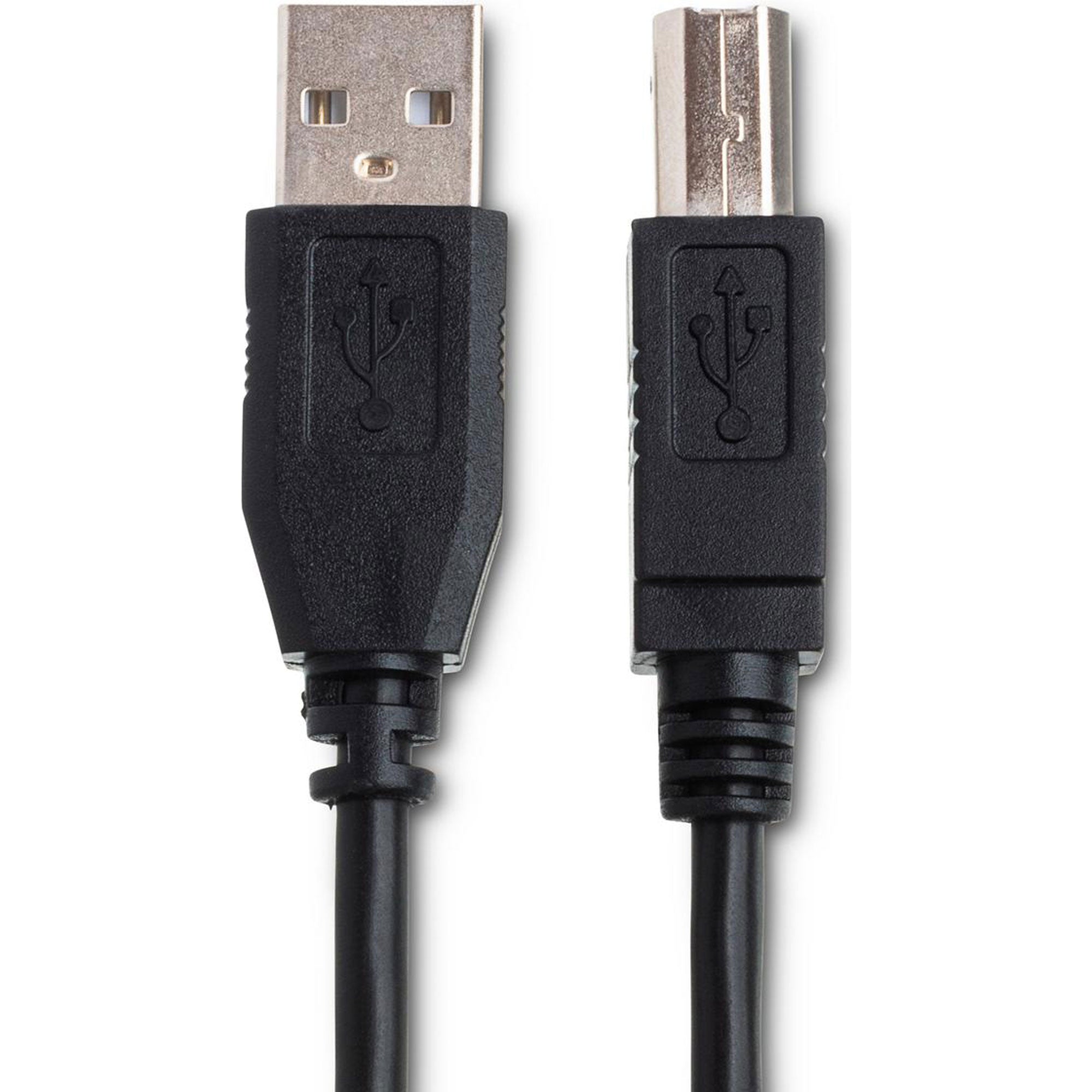 Hosa USB-203AB High Speed Type A to Type B USB Cable (3')