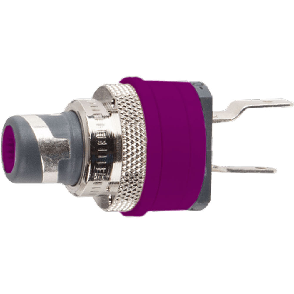 WBT 0210-Ag-Ms Nextgen Pure Silver RCA Female Socket Jack with Metal Nut (Single, Purple)