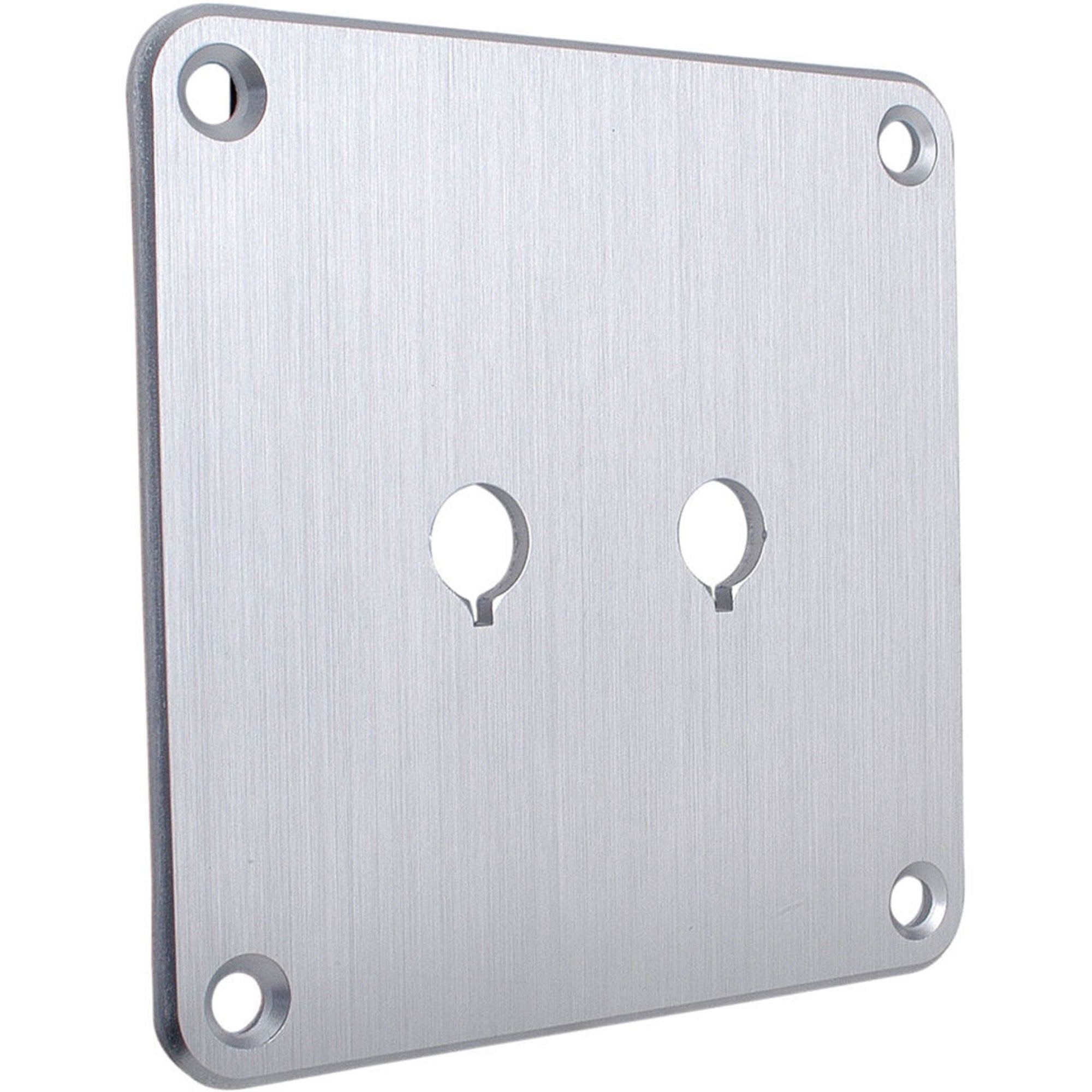 Performance Audio Anodized Aluminum Binding Post Plate (Silver, Single)