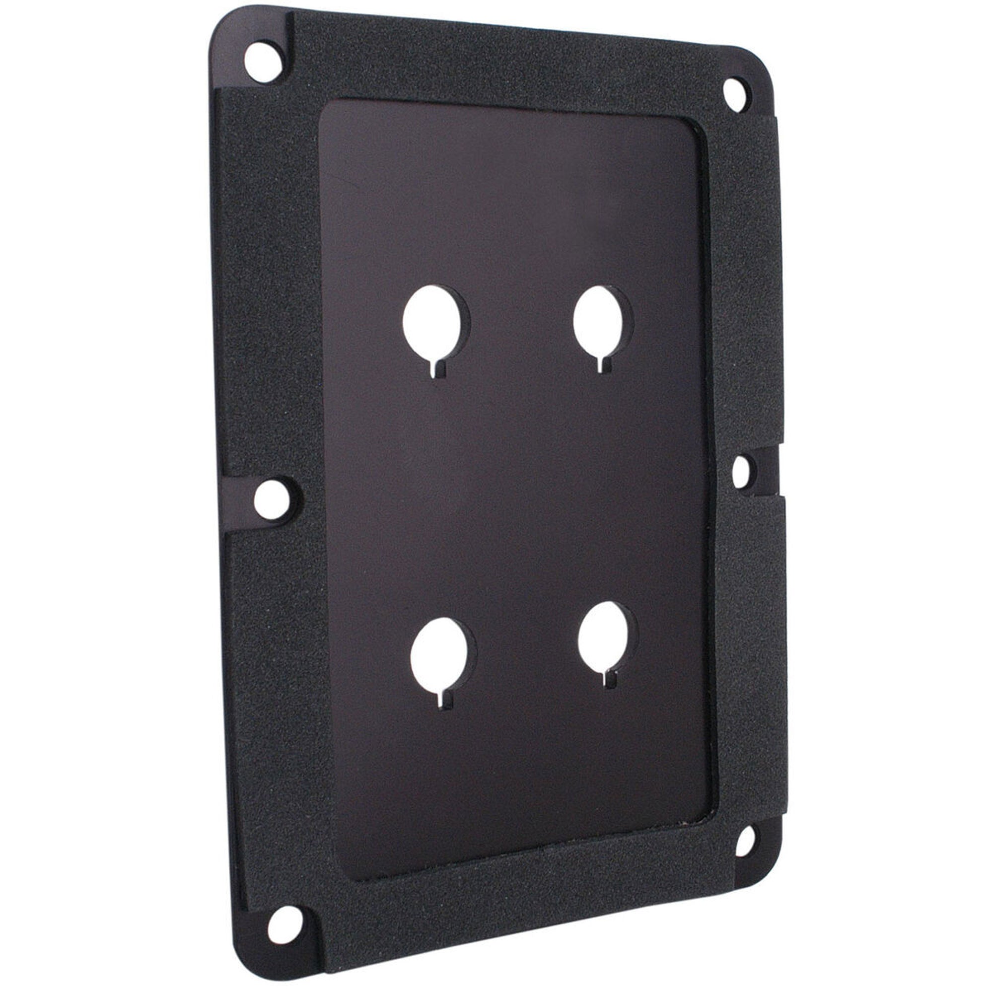 Performance Audio Anodized Aluminum Binding Post Plate (Black, Double)