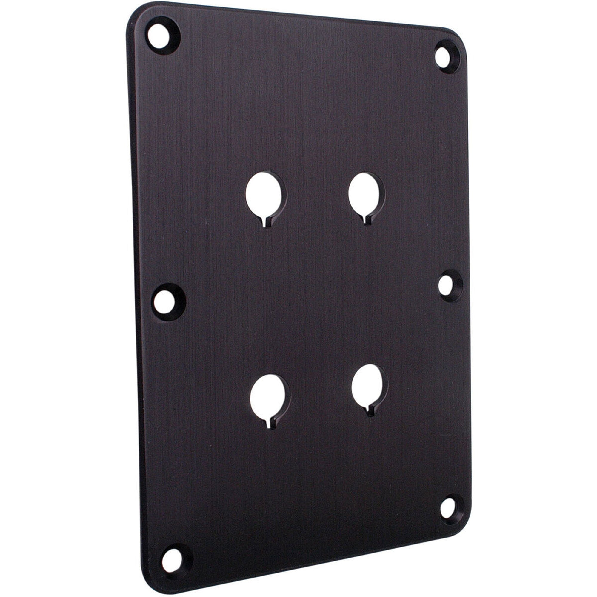 Performance Audio Anodized Aluminum Binding Post Plate (Black, Double)