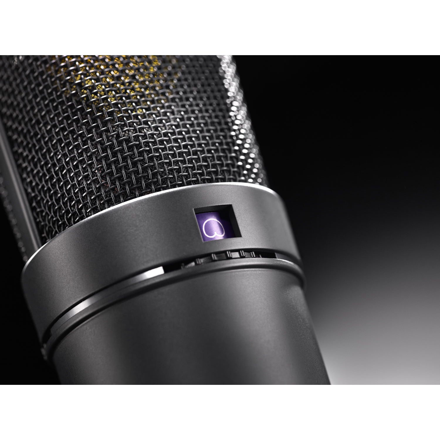 Neumann U 89 i Multi-Pattern Condenser Microphone (Black)