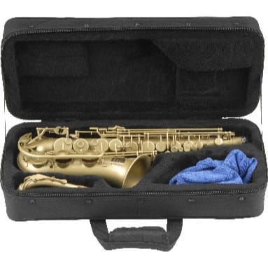 SKB 1SKB-SC340 Alto Sax Soft Case