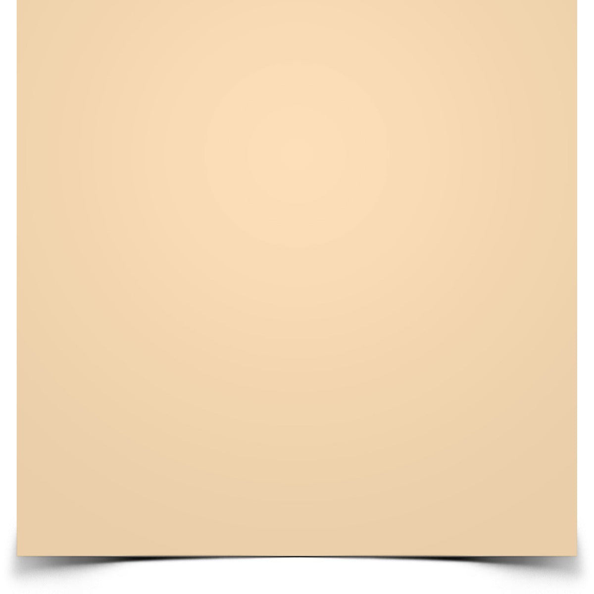 Rosco #3134 Roscolux Filter Gel Tough MT 54 (20" x 24" Sheet)