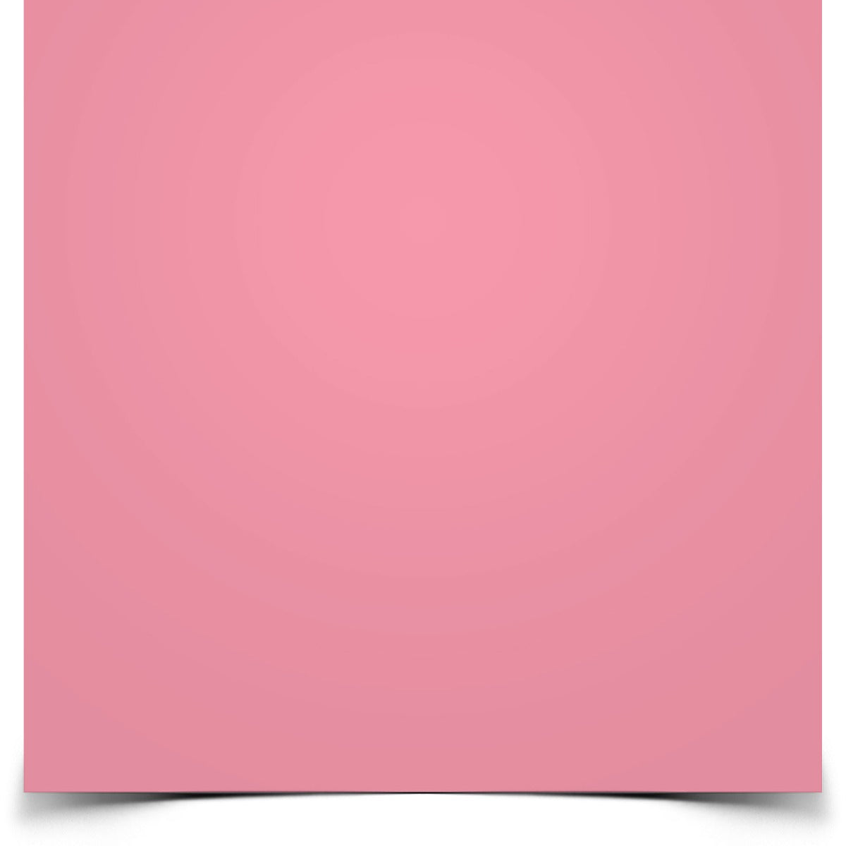 Rosco #4830 CalColor Filter Gel 30 Pink (20" x 24" Sheet)