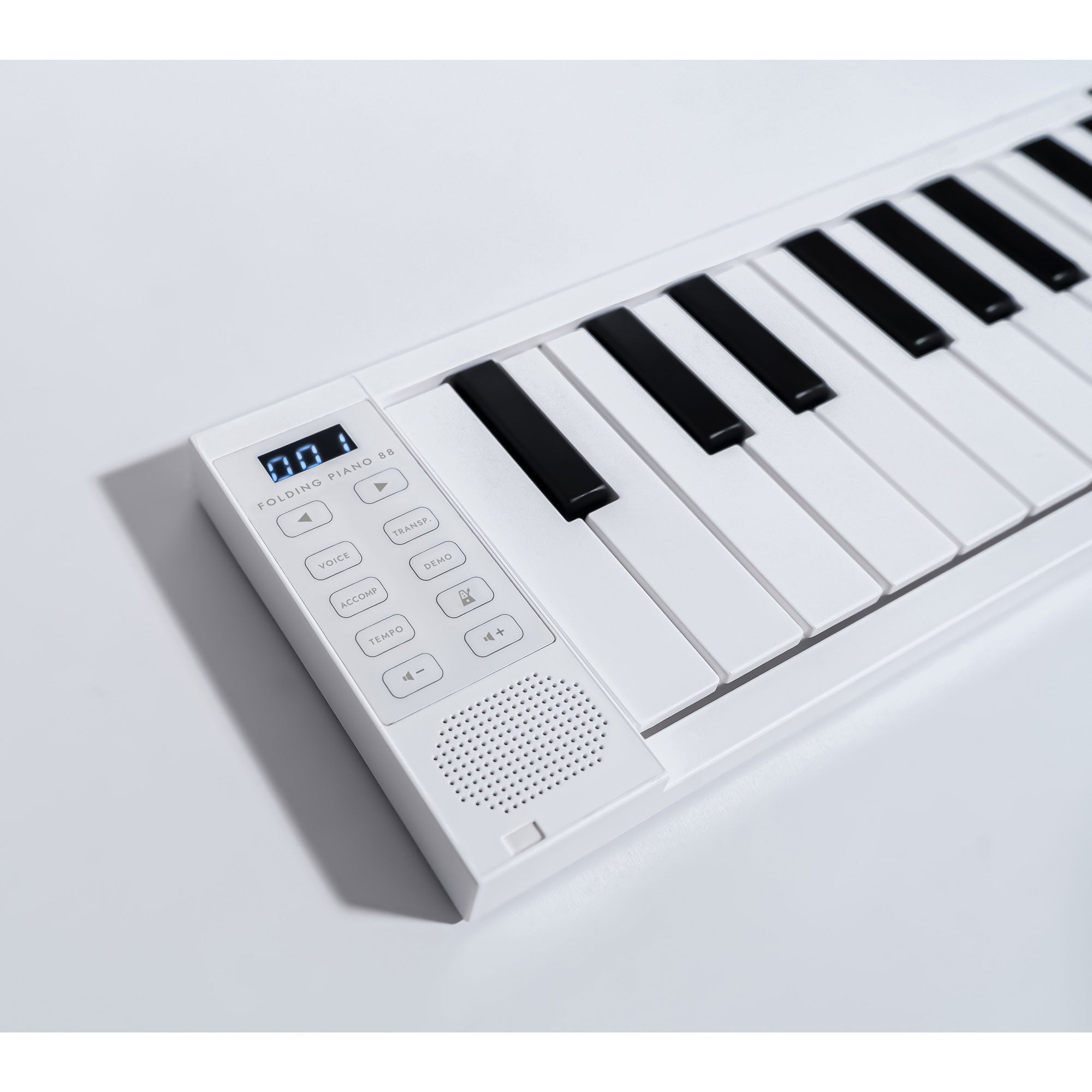 Korg Carry-On 88-Key Folding Piano and MIDI Controller