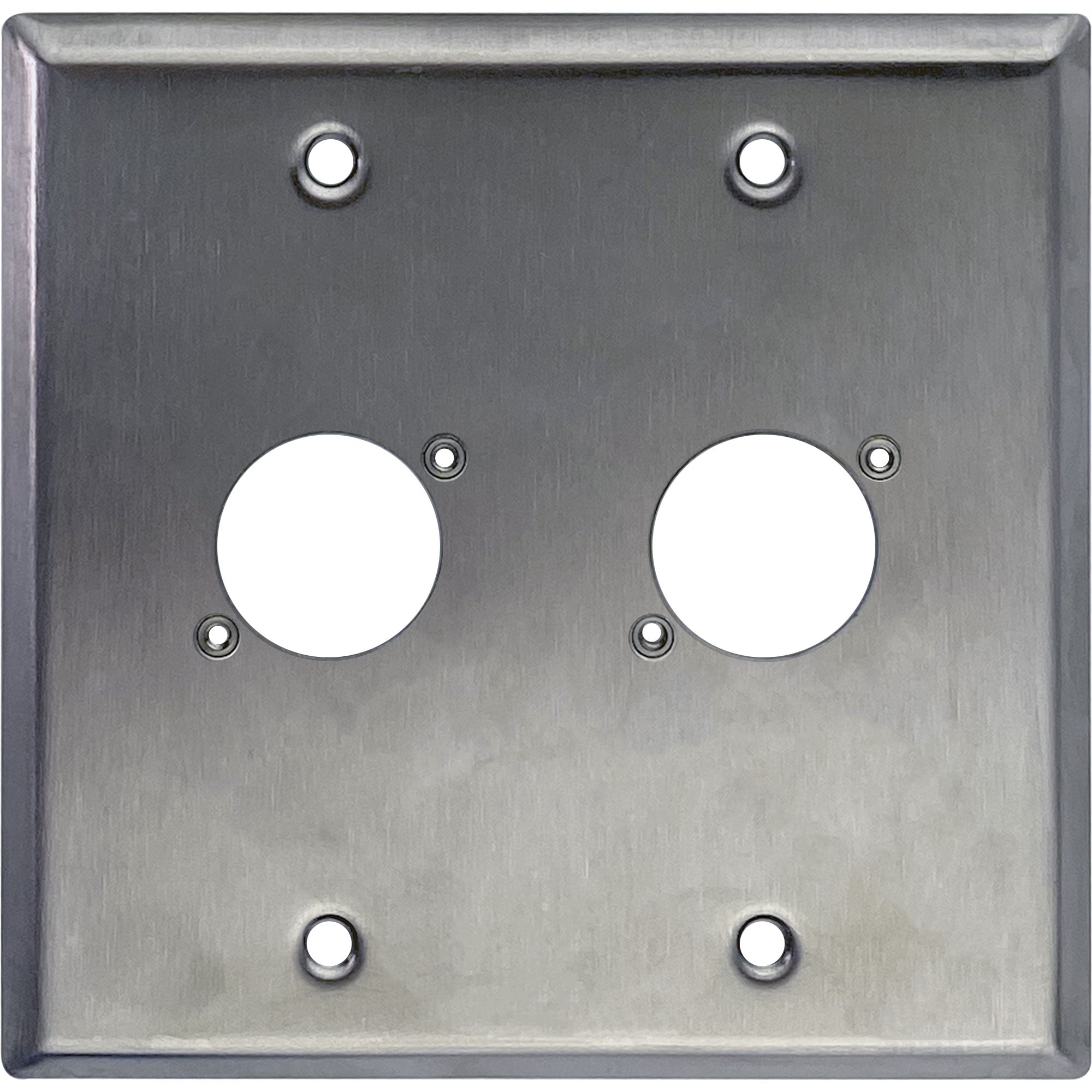 Whirlwind WP2/2NDH 2-Gang Wall Plate Punched for 2 Neutrik XLR Terminals (Stainless Steel)